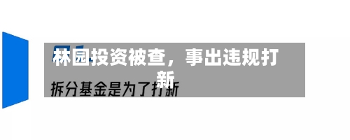 林园投资被查	，事出违规打新-第3张图片