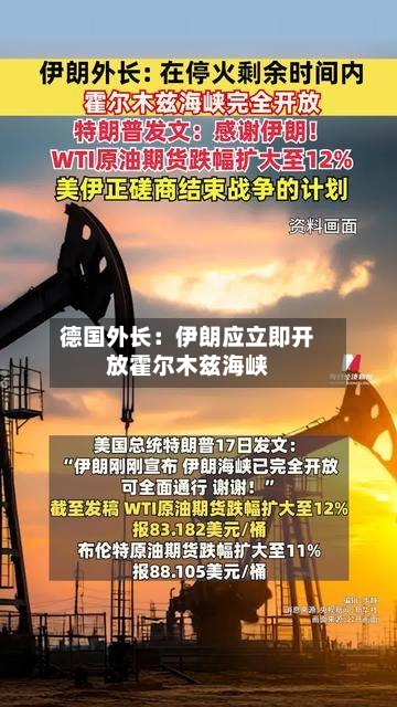 德国外长：伊朗应立即开放霍尔木兹海峡-第1张图片