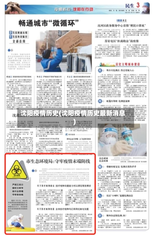 沈阳疫情历史(沈阳疫情历史最新消息)-第2张图片