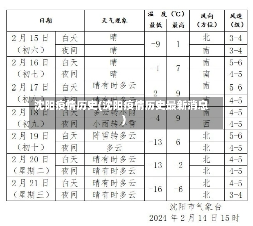 沈阳疫情历史(沈阳疫情历史最新消息)-第1张图片