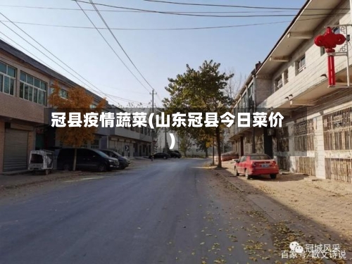 冠县疫情蔬菜(山东冠县今日菜价)-第1张图片