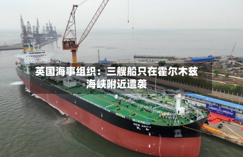 英国海事组织:三艘船只在霍尔木兹海峡附近遭袭-第3张图片
