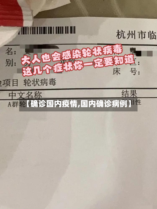 【确诊国内疫情,国内确诊病例】-第1张图片