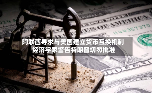 阿联酋寻求与美国建立货币互换机制 经济学家警告特朗普切勿批准-第1张图片
