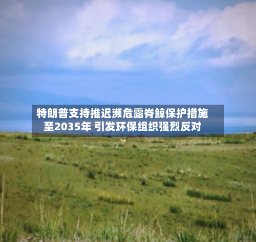 特朗普支持推迟濒危露脊鲸保护措施至2035年 引发环保组织强烈反对-第1张图片