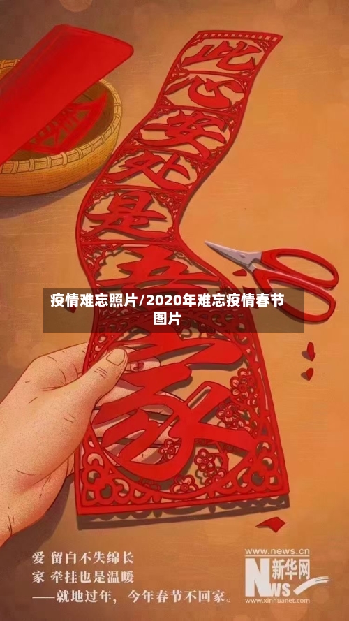 疫情难忘照片/2020年难忘疫情春节图片-第1张图片