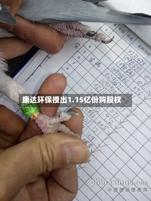 康达环保授出1.15亿份购股权-第1张图片
