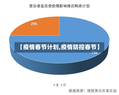 【疫情春节计划,疫情防控春节】-第2张图片