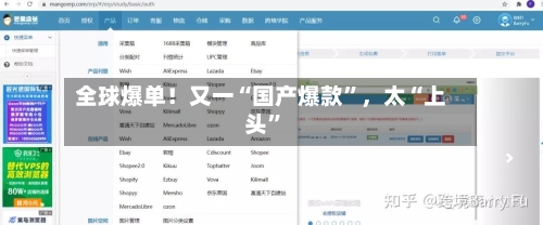 全球爆单！又一“国产爆款	”，太“上头”-第1张图片