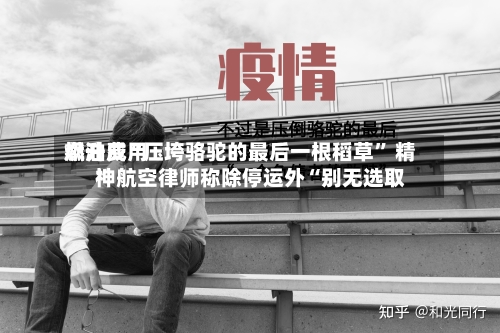 燃油费用飙升成“压垮骆驼的最后一根稻草	” 精神航空律师称除停运外“别无选取”-第1张图片