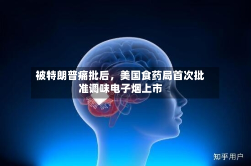 被特朗普痛批后，美国食药局首次批准调味电子烟上市-第2张图片
