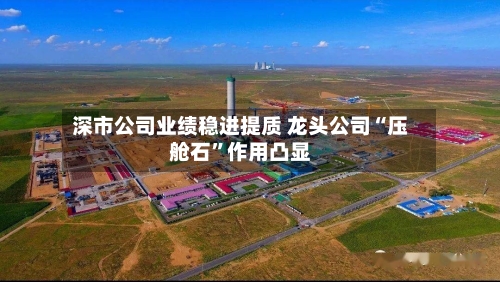 深市公司业绩稳进提质 龙头公司“压舱石	”作用凸显-第1张图片