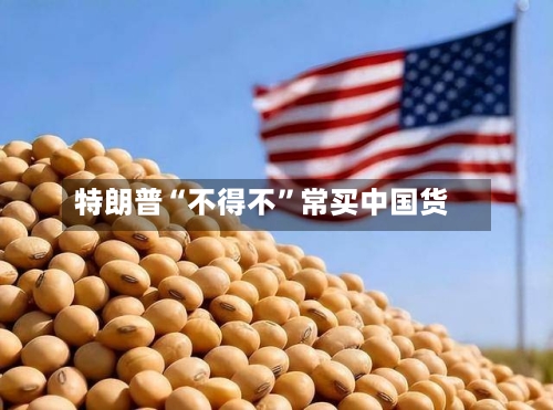 特朗普“不得不”常买中国货-第2张图片