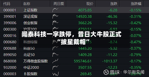 闻泰科技一字跌停，昔日大牛股正式“披星戴帽”-第2张图片