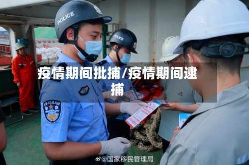 疫情期间批捕/疫情期间逮捕-第2张图片