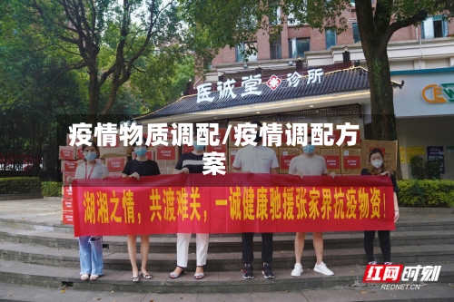 疫情物质调配/疫情调配方案-第3张图片