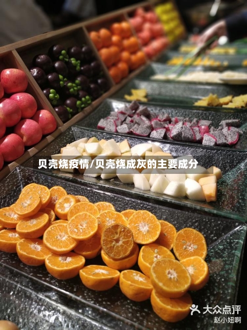 贝壳烧疫情/贝壳烧成灰的主要成分-第1张图片