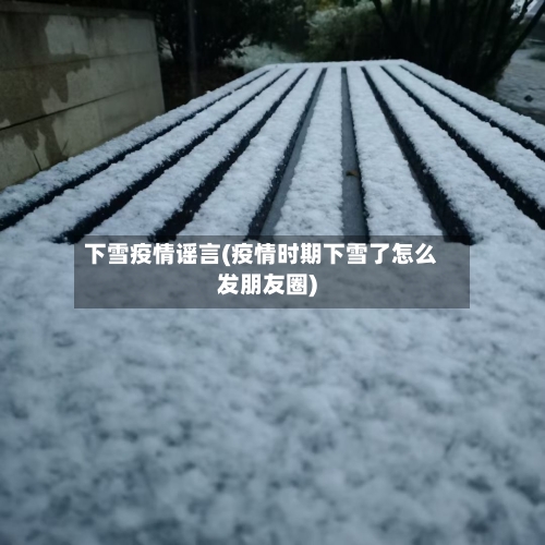 下雪疫情谣言(疫情时期下雪了怎么发朋友圈)-第2张图片