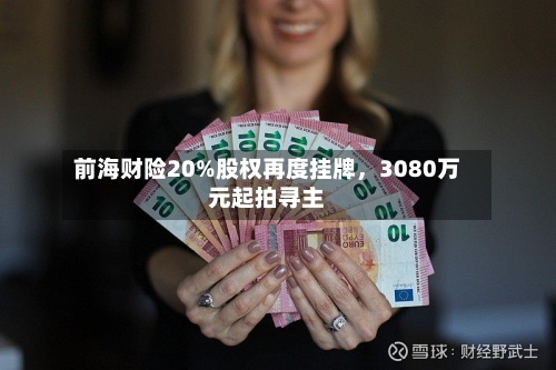 前海财险20%股权再度挂牌，3080万元起拍寻主-第1张图片