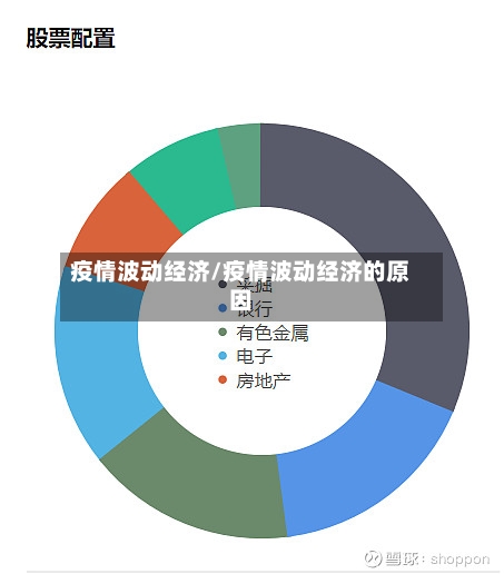 疫情波动经济/疫情波动经济的原因-第3张图片