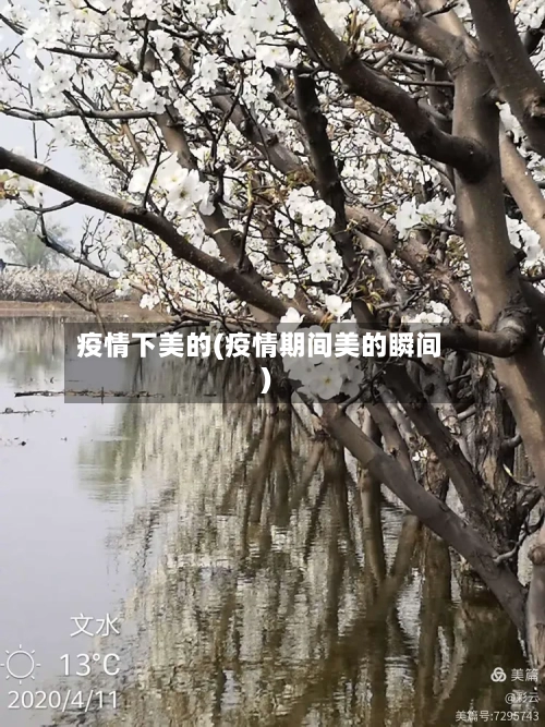 疫情下美的(疫情期间美的瞬间)-第2张图片