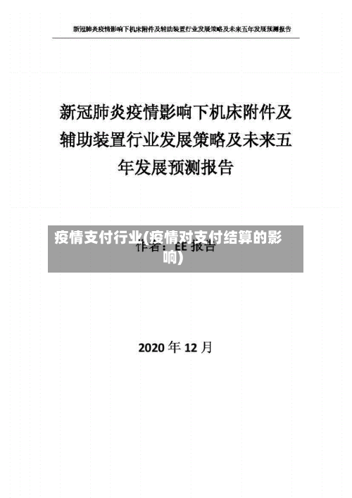 疫情支付行业(疫情对支付结算的影响)-第2张图片