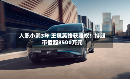 入职小鹏3年 王凤英终获股权！持股市值超8500万元-第2张图片