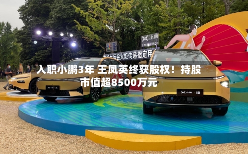 入职小鹏3年 王凤英终获股权！持股市值超8500万元-第1张图片