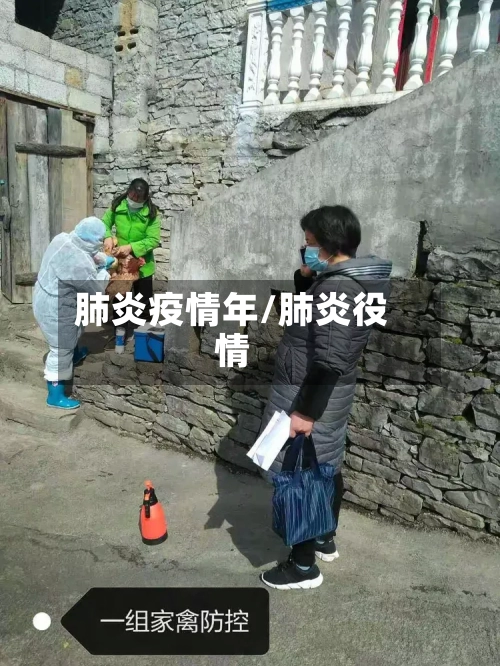 肺炎疫情年/肺炎役情-第1张图片