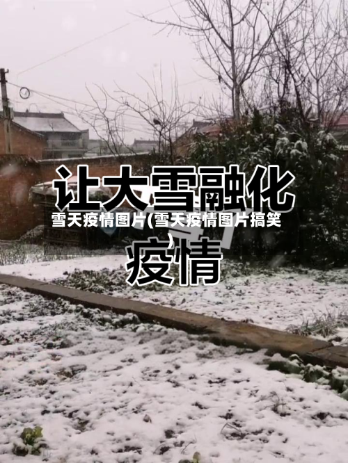 雪天疫情图片(雪天疫情图片搞笑)-第1张图片