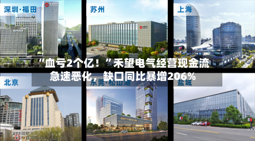 “血亏2个亿！	”禾望电气经营现金流急速恶化，缺口同比暴增206%-第3张图片