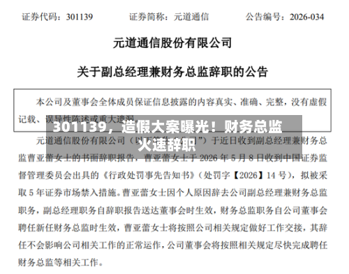 301139，造假大案曝光！财务总监火速辞职-第1张图片