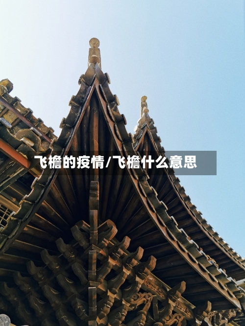 飞檐的疫情/飞檐什么意思-第1张图片