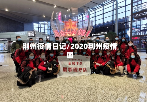 荆州疫情日记/2020荆州疫情图-第1张图片