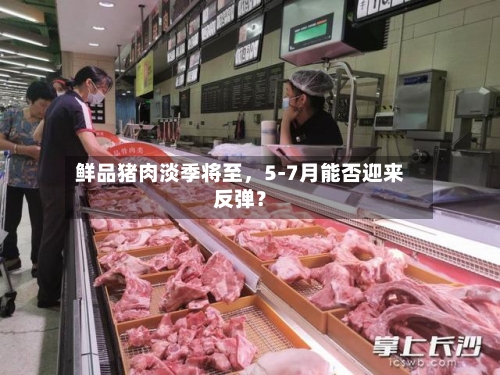鲜品猪肉淡季将至，5-7月能否迎来反弹？-第3张图片