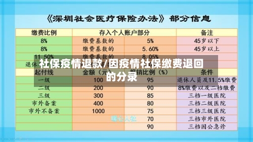 社保疫情退款/因疫情社保缴费退回的分录-第2张图片