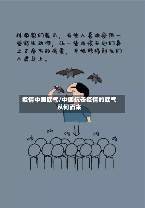 疫情中国底气/中国抗击疫情的底气从何而来-第1张图片