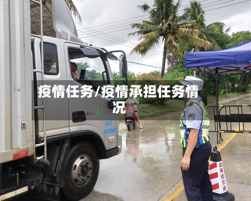 疫情任务/疫情承担任务情况-第1张图片
