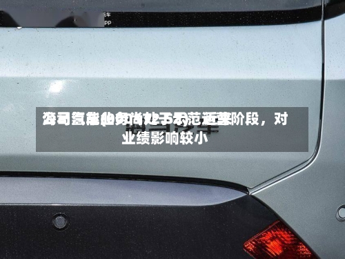 海马汽车(000572.SZ)：近来公司氢能业务尚处于示范运营阶段	，对业绩影响较小-第1张图片