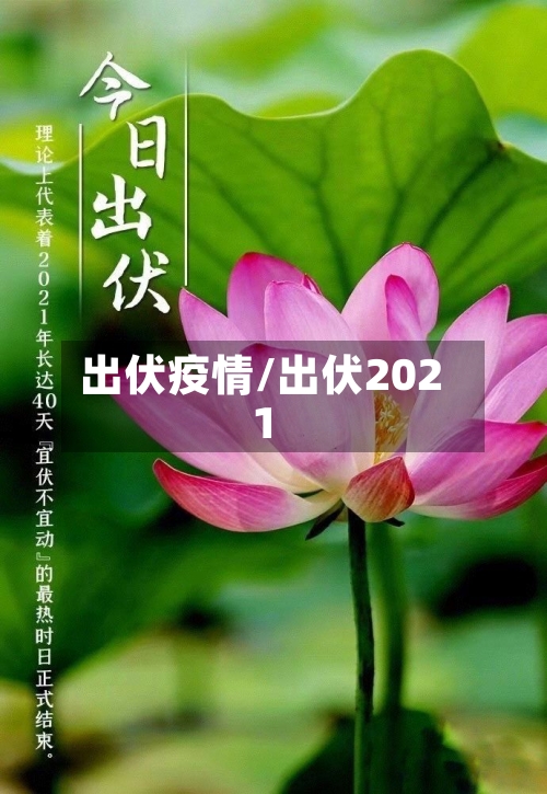 出伏疫情/出伏2021-第1张图片