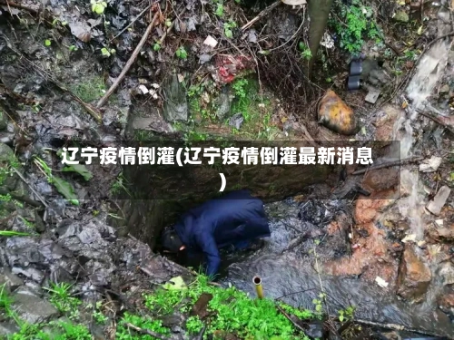辽宁疫情倒灌(辽宁疫情倒灌最新消息)-第2张图片