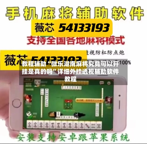 教程辅助“微乐湖南麻将究竟可以开挂是真的吗	”详细外挂透视辅助软件教程-第3张图片