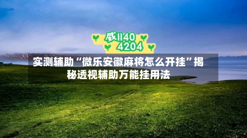 实测辅助“微乐安徽麻将怎么开挂	”揭秘透视辅助万能挂用法-第1张图片