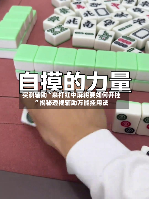 实测辅助“来打红中麻将要如何开挂	”揭秘透视辅助万能挂用法-第2张图片