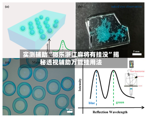 实测辅助“微乐浙江麻将有挂没	”揭秘透视辅助万能挂用法-第1张图片