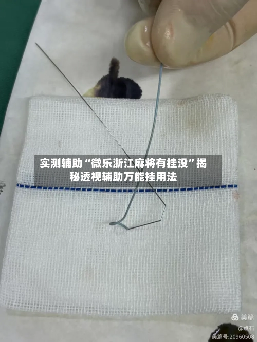 实测辅助“微乐浙江麻将有挂没”揭秘透视辅助万能挂用法-第3张图片
