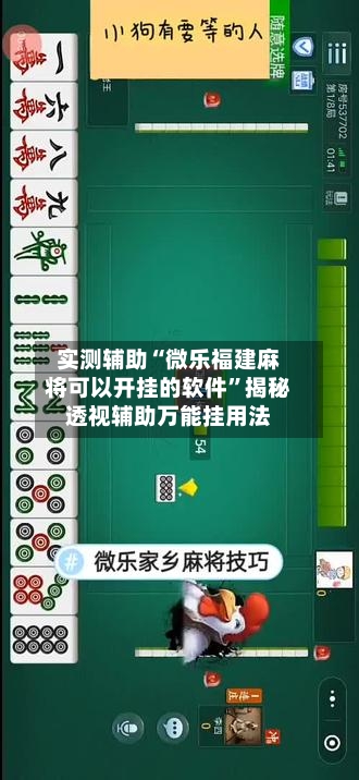 实测辅助“微乐福建麻将可以开挂的软件	”揭秘透视辅助万能挂用法-第1张图片