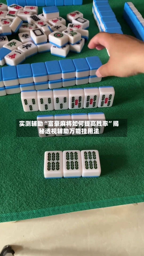 实测辅助“富豪麻将如何提高胜率”揭秘透视辅助万能挂用法-第3张图片