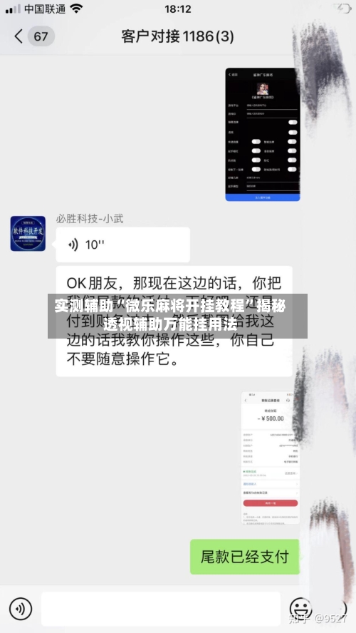 实测辅助“微乐麻将开挂教程”揭秘透视辅助万能挂用法-第2张图片