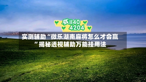 实测辅助“微乐湖南麻将怎么才会赢”揭秘透视辅助万能挂用法-第2张图片